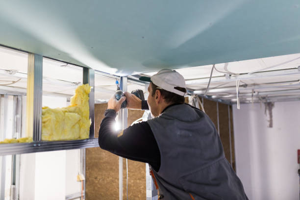 Best Commercial Insulation Contractor  in Mckee City, NJ