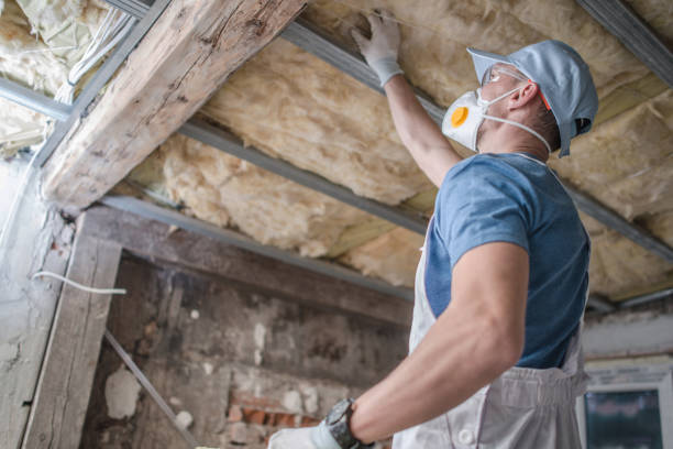 Best Home Insulation Services  in Mckee City, NJ